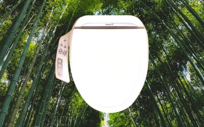 Japanische toiletten, eine umweltbewusste innovation